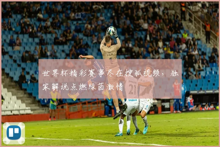 世界杯精彩赛事尽在搜狐视频,独家解说点燃绿茵激情
