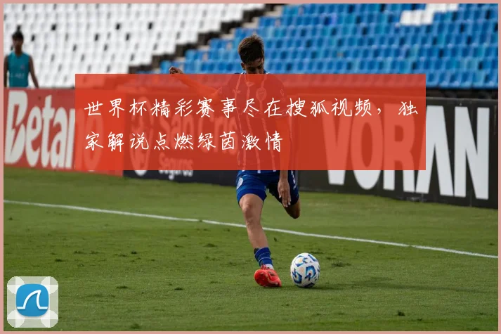 世界杯精彩赛事尽在搜狐视频,独家解说点燃绿茵激情