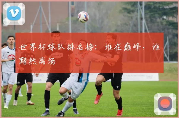 世界杯球队排名榜:谁在巅峰,谁黯然离场