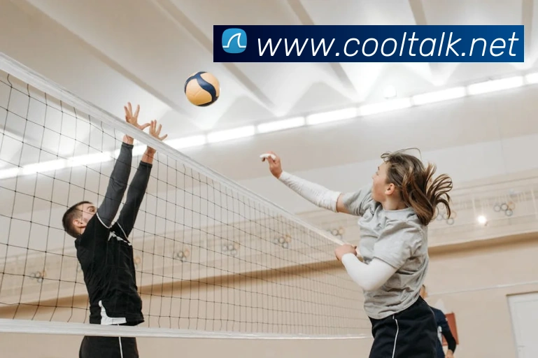 App Interface Preview